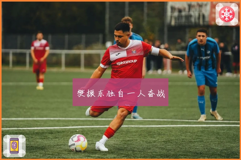 樊振东独自一人奋战