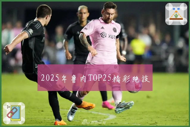 2025年鲁内TOP25精彩绝技